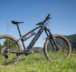 Borsa Fazua Energy Bag Per Batteria Aggiuntiva Grigio -Ricambi Bici Pro borase 12