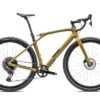 Specialized Diverge Str Expert Disc Oro
