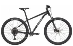 Cannondale Trail 5 Graphite