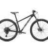 Specialized Rockhopper Expert 29'' Verde/bianco