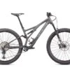 Specialized Stumpjumper Comp Carbon 29'' Grigio -Ricambi Bici Pro stump1 3