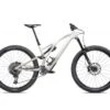 Specialized Stumpjumper Evo Expert 29'' Bianco Betulla -Ricambi Bici Pro stumpexeprt